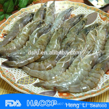 HL002 iranian vannamei shrimp wholesale